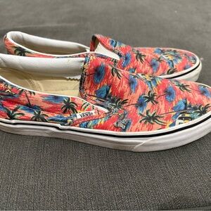 Vans Colorful Canvas Slip-Ons